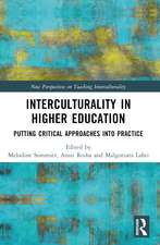 Interculturality in Higher Education: Putting Critical Approaches into Practice