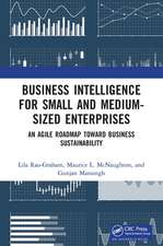 Business Intelligence for Small and Medium-Sized Enterprises: An Agile Roadmap toward Business Sustainability