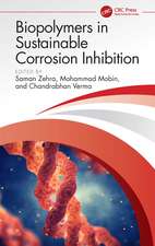 Biopolymers in Sustainable Corrosion Inhibition