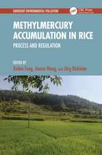 Methylmercury Accumulation in Rice: Process and Regulation