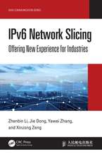 IPv6 Network Slicing: Offering New Experience for Industries