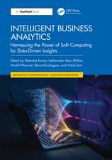 Intelligent Business Analytics: Harnessing the Power of Soft Computing for Data-Driven Insights