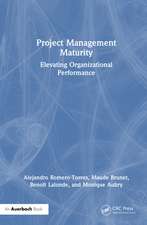 Project Management Maturity: Elevating Organizational Performance