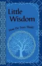 Little Wisdom
