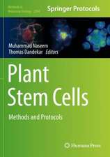 Plant Stem Cells