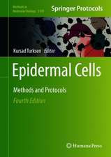 Epidermal Cells