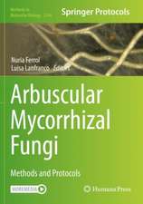 Arbuscular Mycorrhizal Fungi