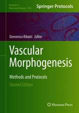 Vascular Morphogenesis: Methods and Protocols