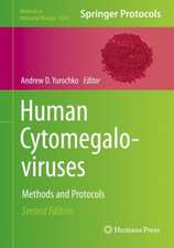 Human Cytomegaloviruses: Methods and Protocols