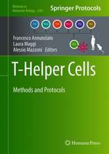 T-Helper Cells: Methods and Protocols
