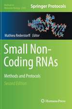 Small Non-Coding RNAs: Methods and Protocols