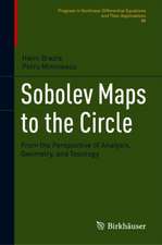 Sobolev Maps to the Circle