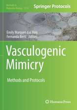 Vasculogenic Mimicry