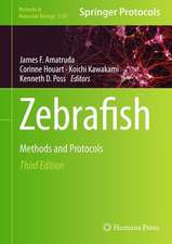 Zebrafish: Methods and Protocols