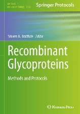 Recombinant Glycoproteins: Methods and Protocols 