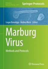 Marburg Virus