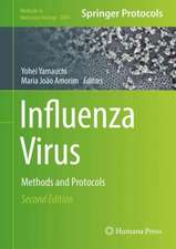 Influenza Virus