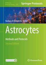Astrocytes