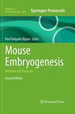 Mouse Embryogenesis
