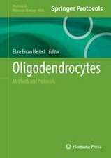 Oligodendrocytes