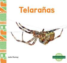 Telaranas (Webs)