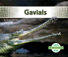 Gavials