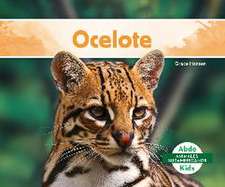 Ocelote (Ocelot)