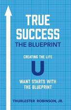 True Success the Blueprint