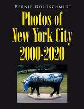 Bernie Goldschmidt Photos of New York City 2000-2020