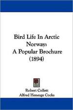 Bird Life In Arctic Norway