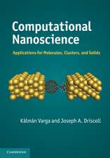 Computational Nanoscience: Applications for Molecules, Clusters, and Solids