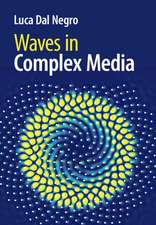 Waves in Complex Media