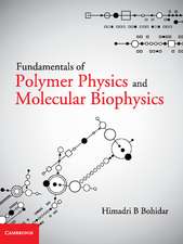 Fundamentals of Polymer Physics and Molecular Biophysics