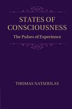 States of Consciousness: The Pulses of Experience