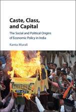 Caste, Class, and Capital: The Social and Political Origins of Economic Policy in India