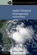 Spatio-Temporal Heterogeneity: Concepts and Analyses