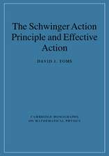 The Schwinger Action Principle and Effective Action