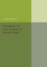 Investigation of Virus Diseases of Brassica Crops