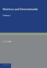 Matrices and Determinoids: Volume 1