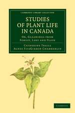 Studies of Plant Life in Canada: Or, Gleanings from Forest, Lake and Plain