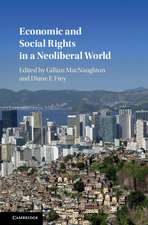 Economic and Social Rights in a Neoliberal World