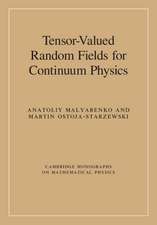 Tensor-Valued Random Fields for Continuum Physics