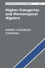 Higher Categories and Homotopical Algebra