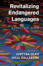 Revitalizing Endangered Languages: A Practical Guide