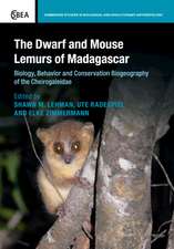 The Dwarf and Mouse Lemurs of Madagascar