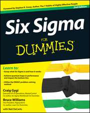 Six Sigma For Dummies 2e