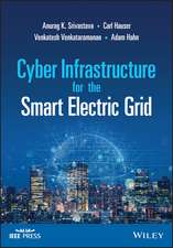 Cyber Infrastructure for the Smart Electric Grid