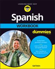 Spanish Workbook For Dummies