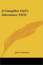 A Campfire Girl's Adventure (1914)