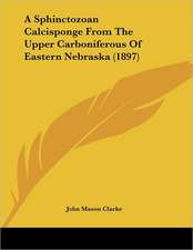 A Sphinctozoan Calcisponge From The Upper Carboniferous Of Eastern Nebraska (1897)